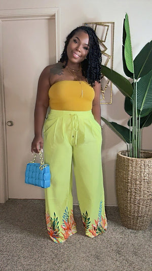Tropic Nights