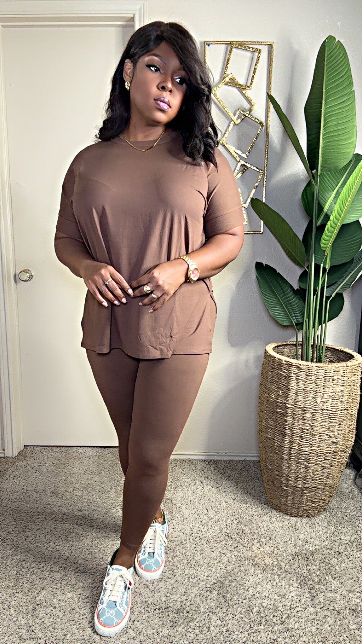 Basic Set (Brown)V-Veck